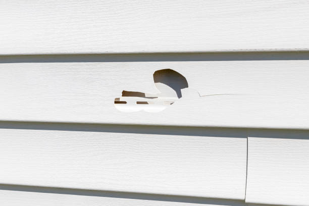 Best Storm Damage Siding Repair  in Pinellas Park, FL