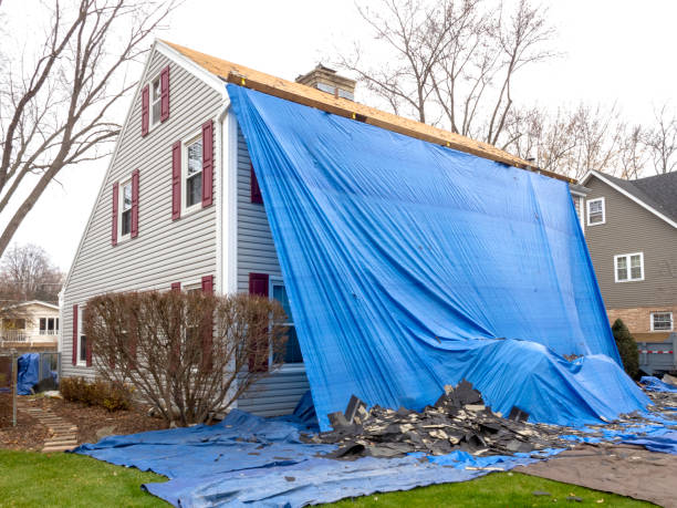 Best Stone Veneer Siding  in Pinellas Park, FL